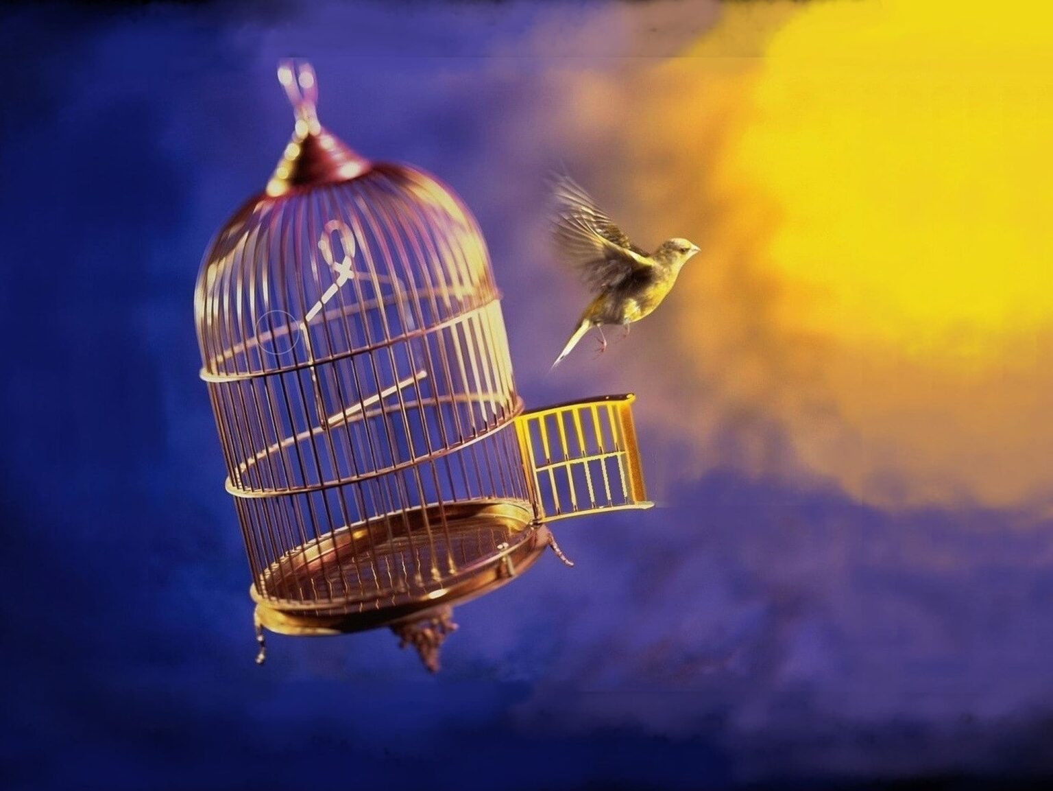 sieu pham trong shaman dat vang 23 carat madahuma 21