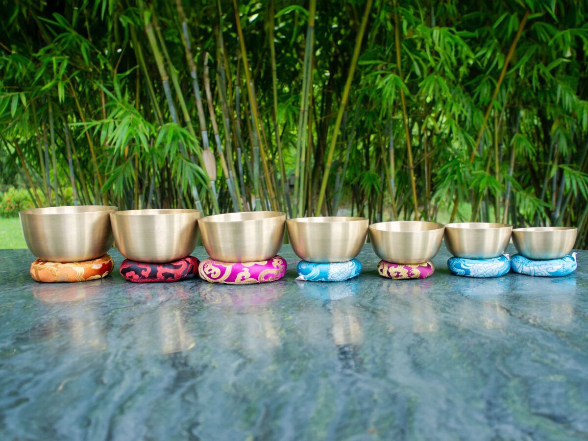 dsc00018 Bát đồng thiền trên nền cây tre xanh