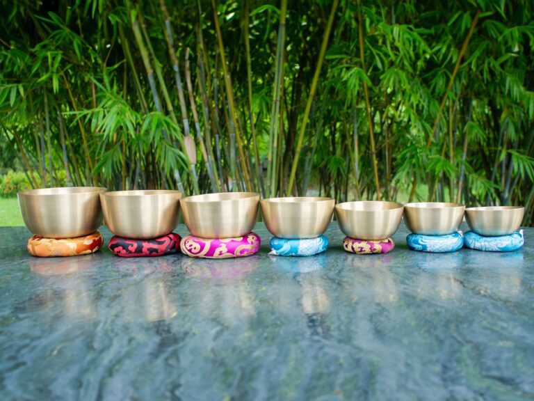 Bát đồng thiền trên nền cây tre xanh