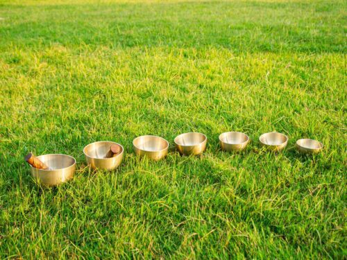 Bát hát Tây Tạng trên cỏ xanh