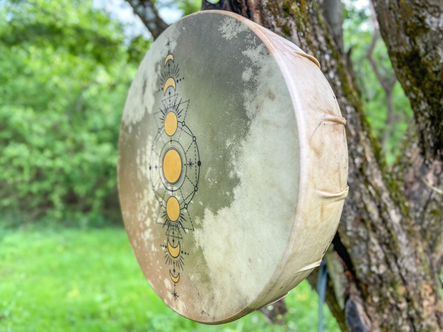 Trống shaman treo trên cây giữa rừng xanh.