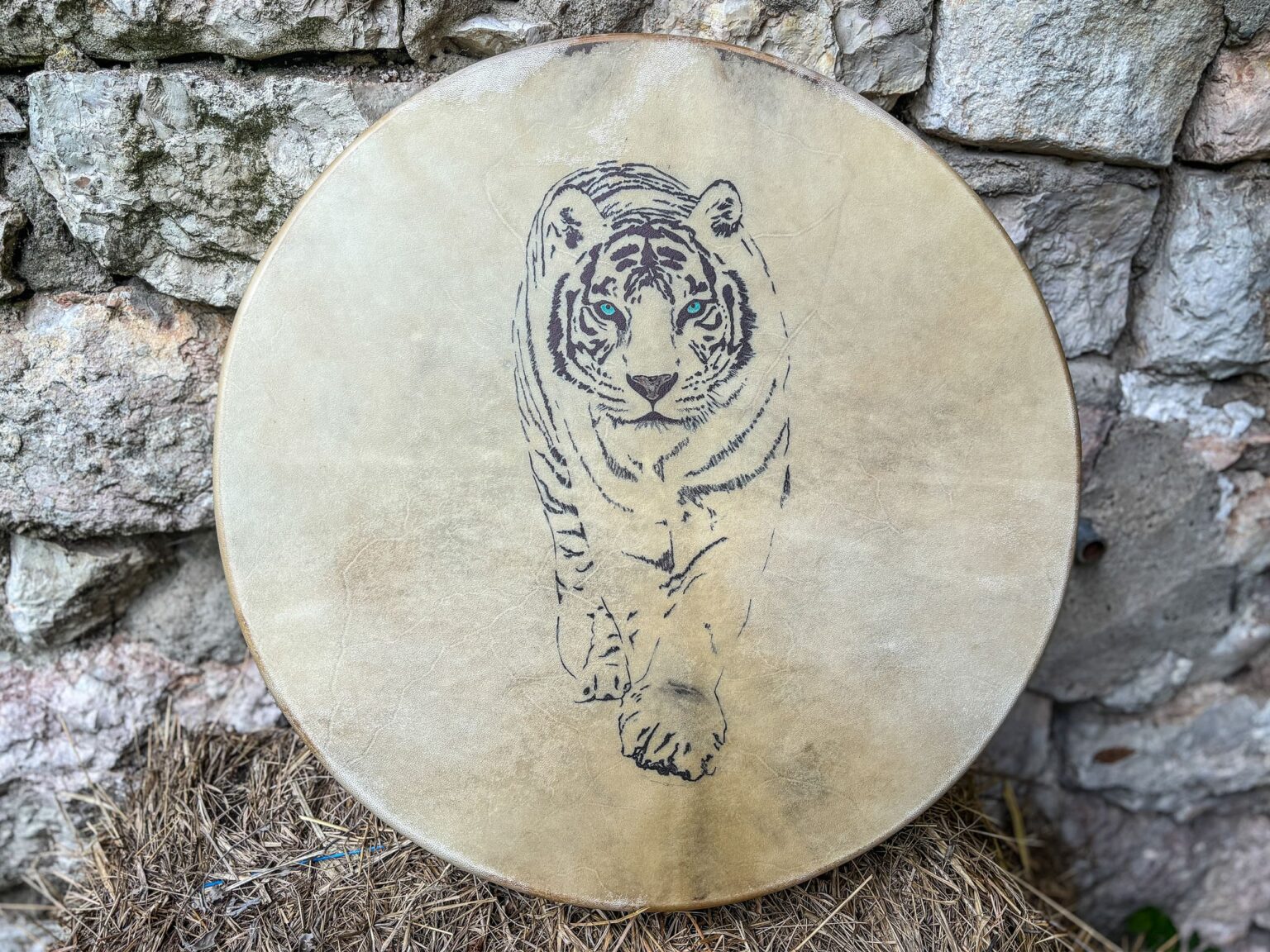 Trống da in hình hổ trước nền đá.