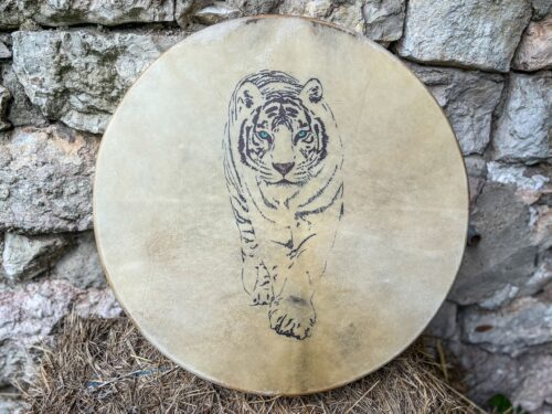 Trống da in hình hổ trước nền đá.