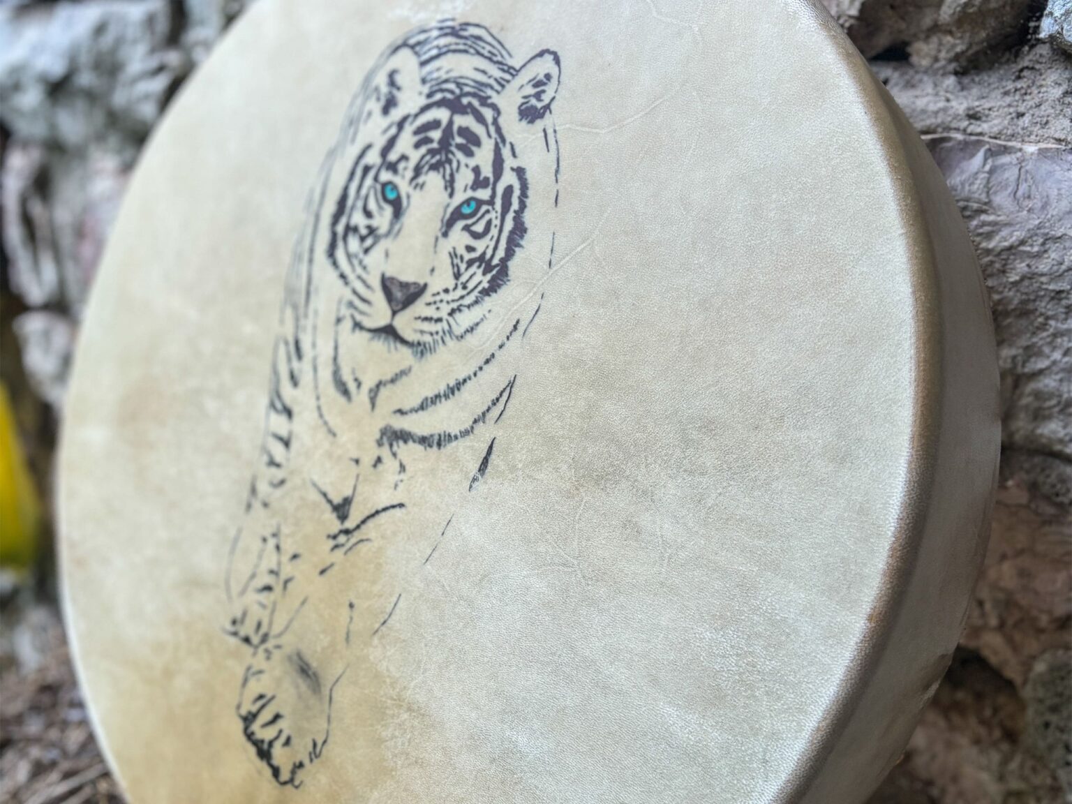 Hình ảnh hổ trên mặt trống