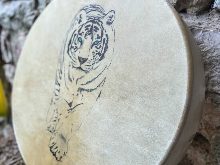 Hình ảnh hổ trên mặt trống