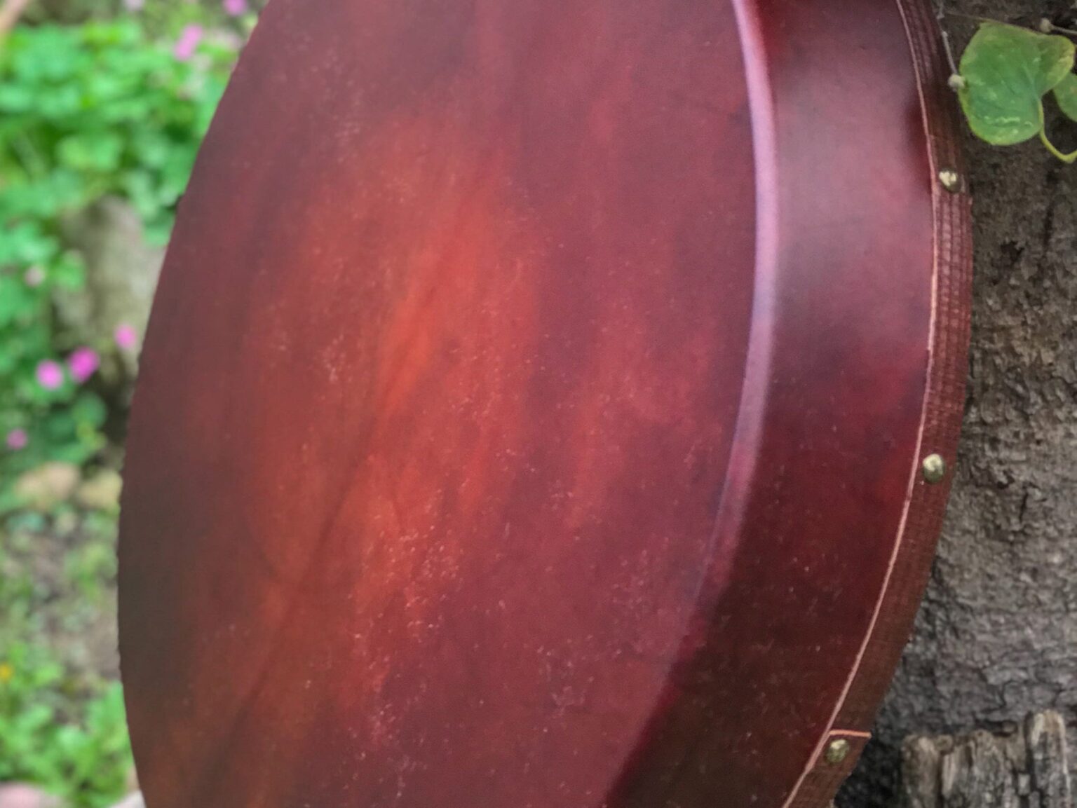 Trống da gỗ treo trên cây.