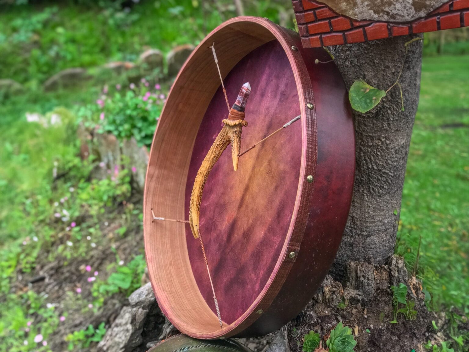 Trống bodhran gắn trên thân cây xanh