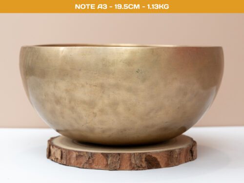 Trang Chủ 11 Chuông Xoay Himalaya Vàng Trơn Note A3 | Ø19.5cm | 1.13kg