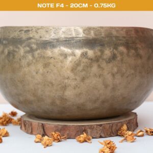 20260422-DSC00016 Chuông xoay Himalaya cổ Note F4 dáng Thadobati 20cm Madahuma