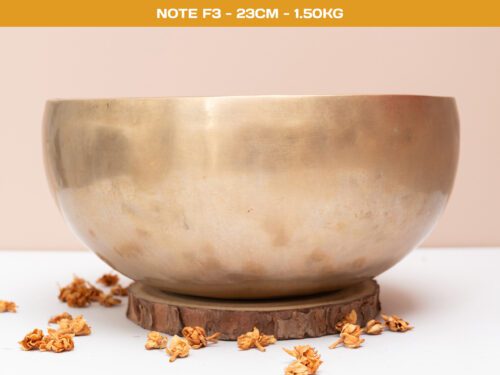 Chuông Xoay Himalaya Màu Vàng Cọp Hàng Decor | F3 | Ø23cm | 1.50kg