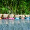 dsc00018 Bát đồng thiền trên nền cây tre xanh