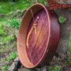 Trống bodhran gắn trên thân cây xanh